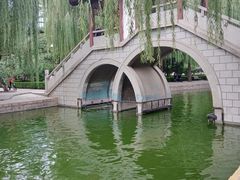 -团结湖公园