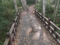 -萨尔浒风景区