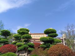 -济南森林公园