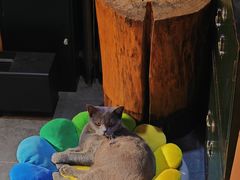 -IN COFFEE LAB 隐咖啡