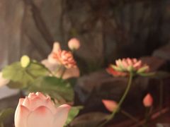 -NINES推理馆·实景侦探推理剧MIXPLAY(静安店)