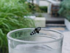 -翠贝卡&Mama Kelly Brunch Coffee(河西店)