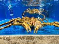 -帝皇海海鲜豆捞(桐泾商务广场店)