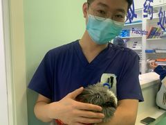 -北京观赏动物医院·24小时大型综合·猫专科·异宠专科