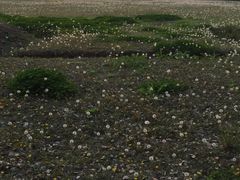 iphone_upload_pic-苏州大学（独墅湖校区）-炳麟图书馆