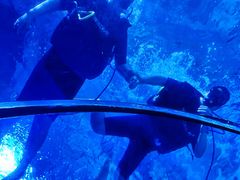 -太平洋海底世界