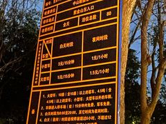 -紫金山山顶公园