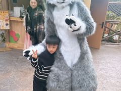 -杭州开元森泊度假乐园