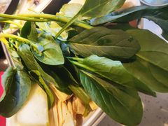 -新辣道鱼火锅(西直门店)