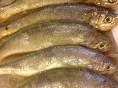 iphone_upload_pic-合家小菜餐馆(新诚花苑店)