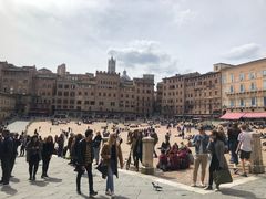 -田野广场