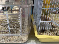 -FAELING PETS美天灵宠物(合生汇店)
