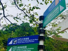 -石排湾郊野公园