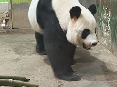-柳州市动物园