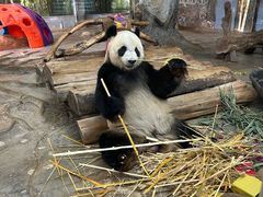 -海南热带野生动植物园
