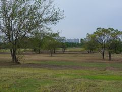 -盘龙城国家考古遗址公园