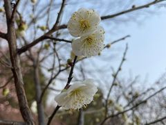 -鹫峰国家森林公园