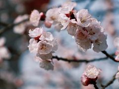 -国际非物质文化遗产博览园