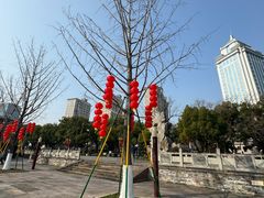 -天一阁博物院