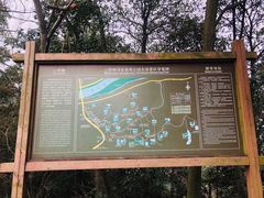 -云碧峰国家森林公园