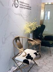 -潘多拉Hairsalon