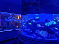 -上和臻品中国菜(花园街店)