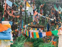 -康定跑马山风景区
