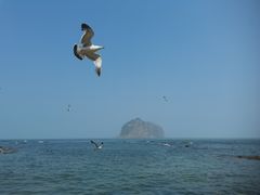 -棒棰岛宾馆景区