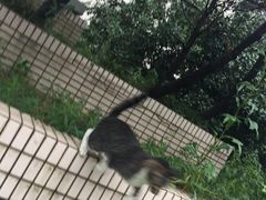 -复旦大学光华楼