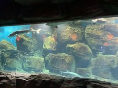 -石家庄海洋公园