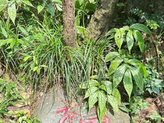 -成都杜甫草堂博物馆