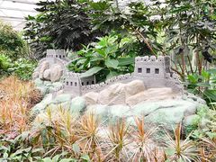 -南宫五洲植物乐园