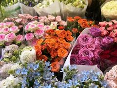 -双季花艺园艺市场(浦东店)