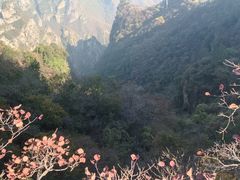 -神农山景区