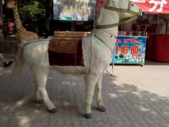 android_upload_pic-太原动物园