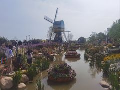 -荷兰花海