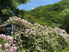 -参仙谷生态旅游度假区