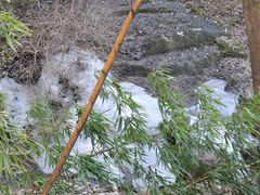 -终南山南五台景区