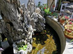 -双廊杨记石锅鱼石锅牛肉