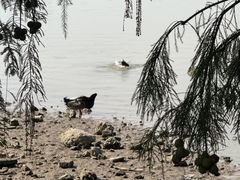 -海珠湖公园
