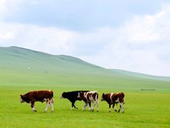 -莫日格勒旅游景区