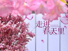 -首开·龙湖成都西宸天街
