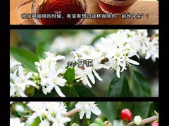 -王森咖啡西点烘焙培训(上海名厨中心店)
