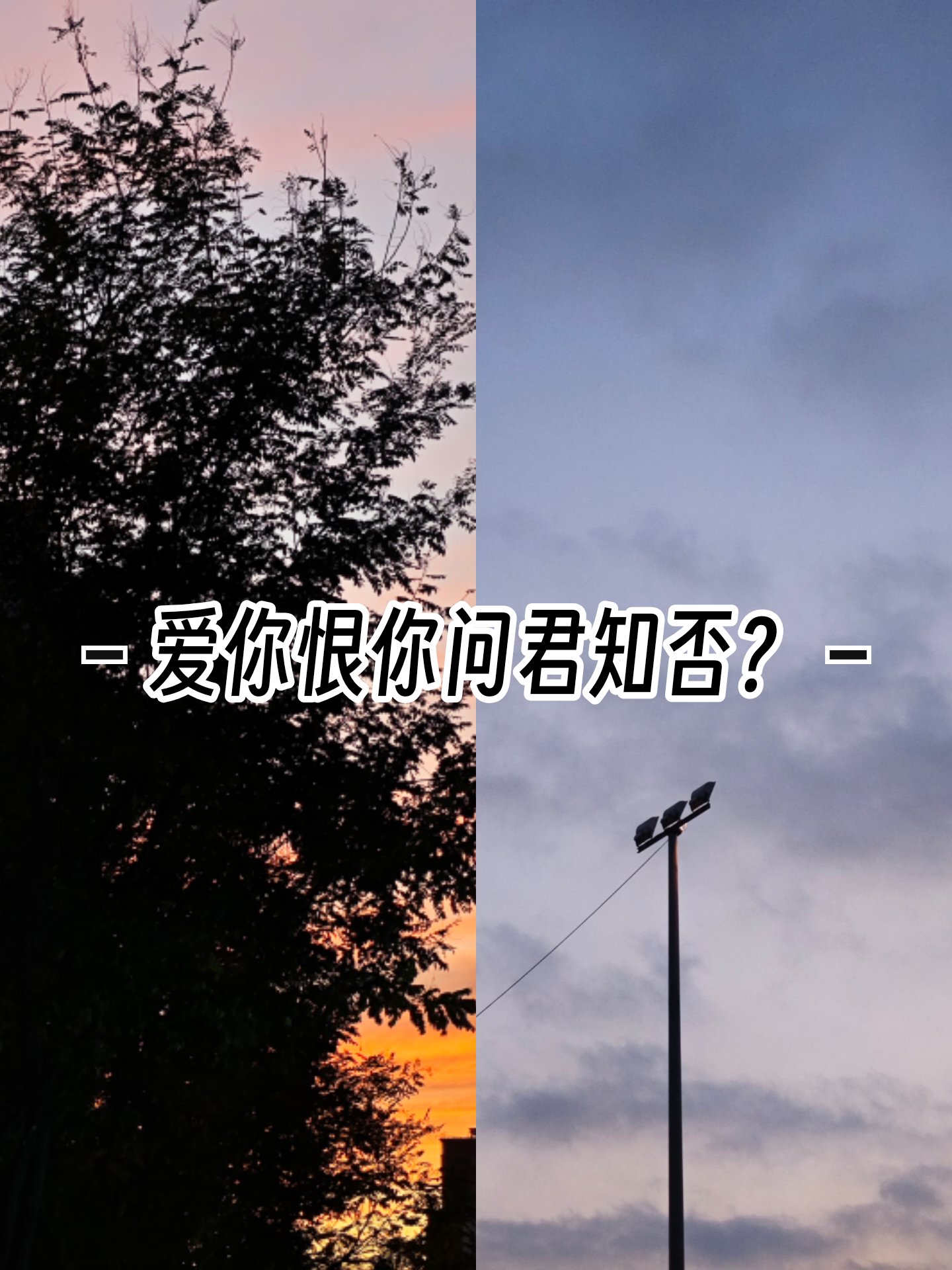 爱你恨你在线观看完整视频