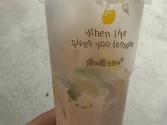 -猫的魔法密林(衣裳街店)