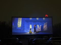 -枫花园汽车电影院(朝阳公园店)