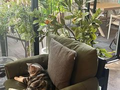 -咖法森林·咖啡  酒吧(天河店)