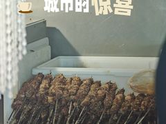 -景泰马记电烤串(景泰店)