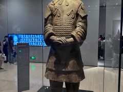 -秦始皇帝陵博物院-丽山园