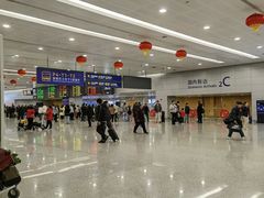 -上海浦东国际机场-T2航站楼